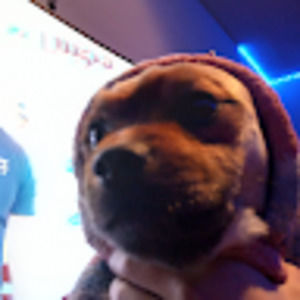 Meet your Posher, Donovan